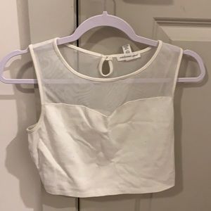 Partial Mesh Crop Top